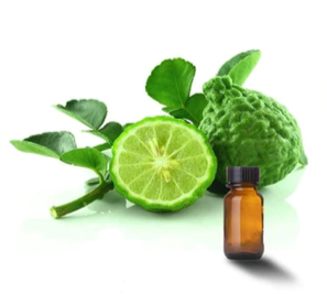 Bergamot essential oil is extracted from the rind of the bergamot fruit. it is rich in fatty acids and antioxidants.